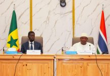 Gambia and Senegal Resolve Border Farmland Dispute, Farmers Cleared to Resume Work