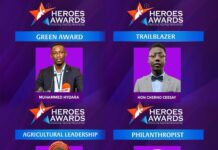 Heroes Awards Honor Outstanding Professionals and Individuals at Glittering Ceremony
