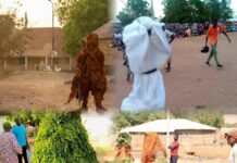 ‘Munkutuwo’ Brings Kudang’s Vibrant Heritage to Life: An Interview with Festival Chair Bora Ceesay Ahead of June Festival