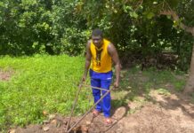 From Headlines to Harvest: Journalist Omar Jobe Cultivates a New Chapter in Watermelon Farming