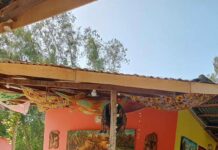 Unveiled Secrets: Watchman’s Poisoning Exposes 60 Foreign Cybercrime Suspects in Tujereng, Tied to National Security Advisor’s Property