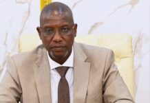 Interior Minister Cites Budget Constraints as Key Barrier to Effective Transhumance Border Monitoring