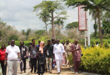 TAF Africa Global Launches “TAF Green” Initiative in Response to Brufut Tree-Cutting Controversy