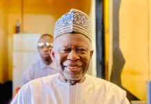 UDP Vows Full Voting Rights for Diaspora Gambians