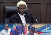 Seena Shams Testifies in Money-Laundering Trial Linked to Real Estate Deals Involving Paulo Djabi