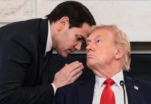 World reacts to Gaza ceasefire deal announced by Trump