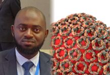 Gambia Confirms First Rift Valley Fever Outbreak in Animals and Humans