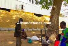 Gambian Farmers Eye Record Groundnut Harvest Amid Digital Revolution and Price Worries