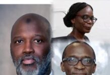 Kenyan Lawyer Phoebe Okowa Elected to ICJ, Gambia’s Switch from Ba Tambedou to Femi Elias Ends in Defeat