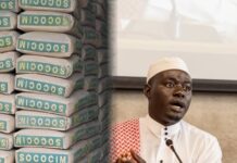 Cement Importers Slam Sabach Sanjal MP for “Misleading” Farafenni Remarks on Currency Woes