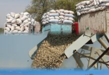 Groundnut Farmers Deserve Better