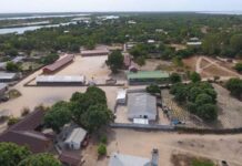 Allegations of Complicity Surface in Jinack Migration Crisis Amid Ongoing Boat Tragedies