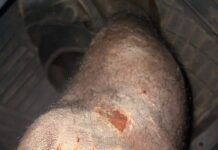 Armed Robbery in Lamin: Victims Attacked by Group Posing as Christmas Revelers