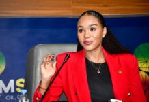 President Barrow Appoints Cany Jobe as Director General of Petroleum Commission