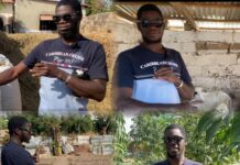 Rooted in Legacy, Rising Through the Land: Ibrahim Marenah’s Courageous Return to Kudang to Farm