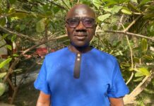Gambian Environmentalist Unveils Ambitious Nature-Based Plan to Slash Carbon Emissions