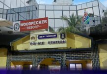 Children Severely Injured in Horrific Woodpecker Hotel Pool Incident – Police Launch Urgent Investigation