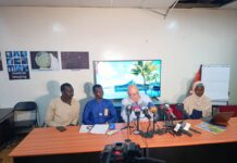 Nearly 900 Gambian Youths Lost to Perilous ‘Backway’ Migration in 2025, Activists Claim