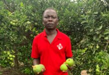 From Family Roots to Flourishing Fields: Yankuba Bettay’s Journey in Gambian Horticulture