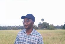 Teenagers Rob Former Gambian Diplomat Lamin Camara in Broad Daylight at Serrekunda Westfield Area