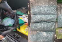 Lamin Saho Sentenced to Six Years in Federal Prison for Fentanyl Trafficking in Seattle