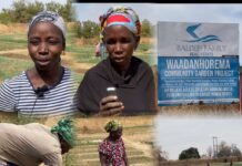 Women of Waadanhorema Garden Face Daunting Challenges in Water & Market Access