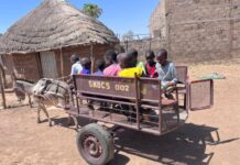 Donkey Carts Drive School Attendance in Rural Gambia