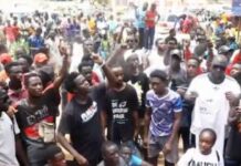 Gambia at 61: Rural Youth Demand Expanded Vocational Training & Job Opportunities Amid Independence Celebrations