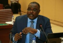 Top Gambian Human Rights Expert Gaye Sowe Appointed Director of Legal Affairs at ECOWAS Commission