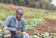 Ken the Farmer: Kenyan Entrepreneur Pioneers Sustainable Agribusiness in The Gambia
