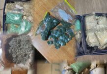 DLEAG Cracks Down on Drug Trafficking: Over 49,000 Ecstasy Pills Seized in Nationwide Operations