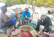Residents of Jalikassa Village Demand Government Action on Long-Standing Development Neglect