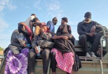 Security Forces Thwart Major Irregular Migration Bid, Detain 110 in West Coast Raid