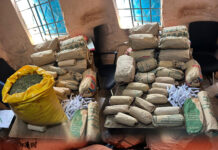 DLEAG Intensifies Crackdown: Senegalese National Among Dozens Arrested in Drug Busts Across Gambia