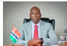 Understanding the Implications of High Domestic Debt