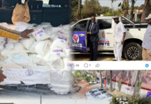 Cult Personality and the Personalization of a Political Party: UMC in the Spotlight