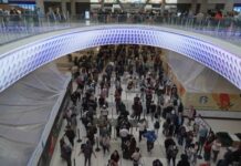 Long lines, unpaid TSA workers: Experts say US air travel system in crisis