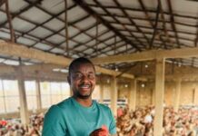 From Herdsman at 18 to Gambia’s Tech & Farming Trailblazer: Alhagie Jallow’s Inspiring Rise