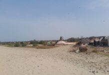 Gambia Immigration Raids Kartong Migrant Launch Pad, Arrests 24 as Organizers Escape