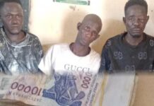 Dramatic Chase Ends in Arrest of One Gambian and Two Senegalese in Kaur Vehicle Theft
