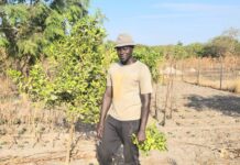 From Small Shop to Thriving Farm: Jagana’s Journey of Grit & Green Innovation in Rural Gambia