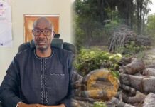 Governor Bah Urges Youth to Champion Protection of Forests and Wildlife