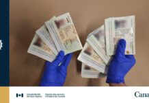 Nigerian Woman Faces Charges After 5 Fake Gambian Passports Discovered in Sandals