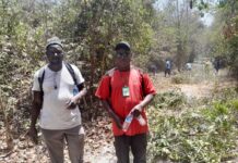 More Forest Officers Needed to Stop Waste Dumping at Nyambai — Gmelina Peg Assoc.