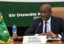 ACHPR Chair Voices Deep Indignation Over Xenophobic Attacks in South Africa