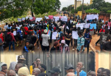 GALA Issues 10-Day Ultimatum to NAWEC Amid Gambia’s Escalating Electricity Crisis