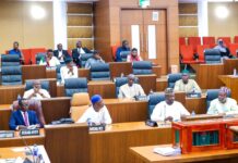 Gambia to Impose Stiff Penalties on Migrant Smugglers Under New Law