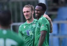 Gambians Abroad: Tambedou Shines, Manneh Creates, Susso Opens Account