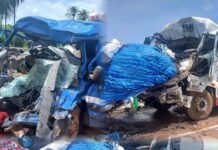 Seven Killed in Guinea Road Crash Involving Gambian Passenger Bus