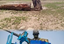 Senegalese Gendarmerie Sparks Fresh Border Crisis in Gambia, Orders Farmers Off Ancestral Lands